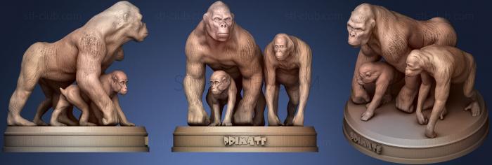 3D model Primate (STL)